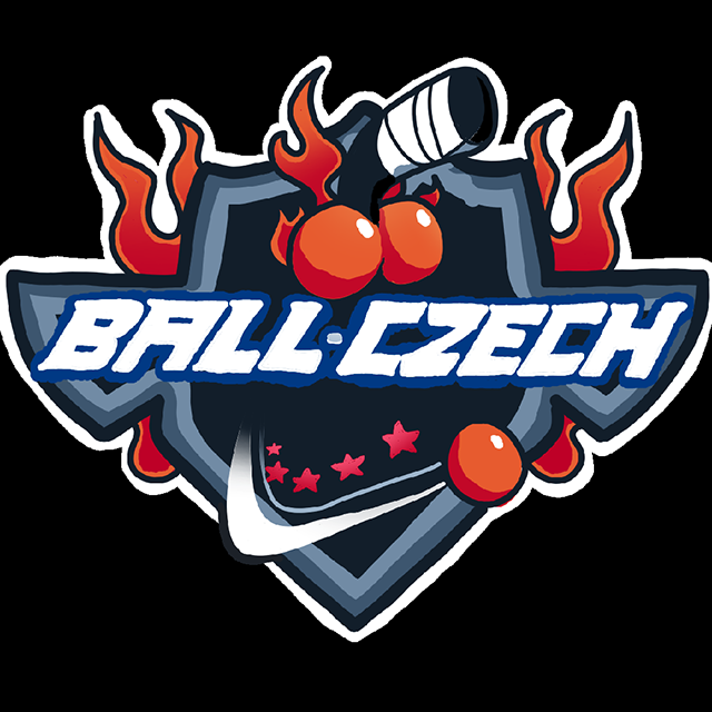 Team Logo